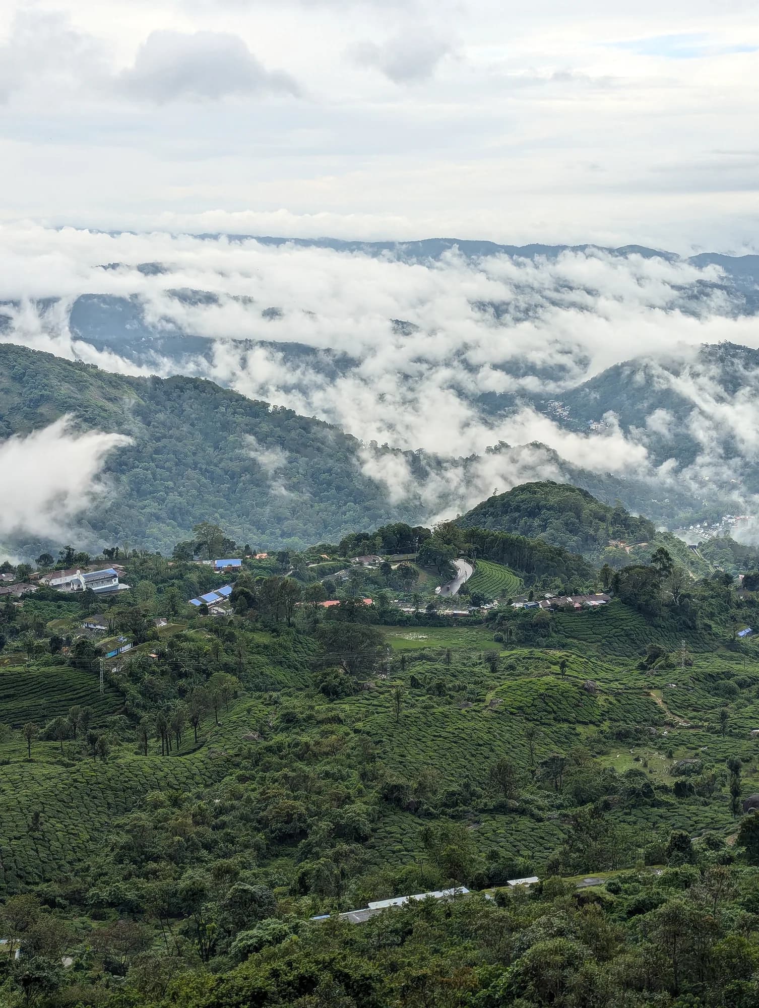 Clouds rolling over green hills and tea estates